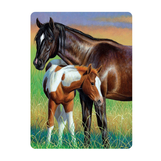 3D LiveLife Postcards - Mare & Foal