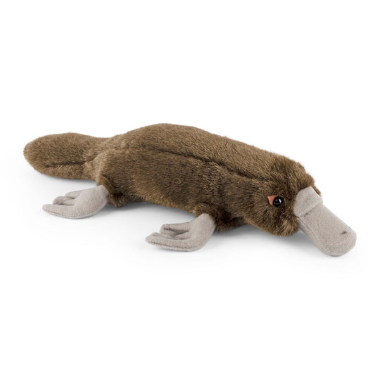 AN681 Duck Billed Platypus 35cm