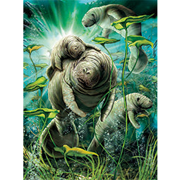 3D LiveLife Pictures - Manatees