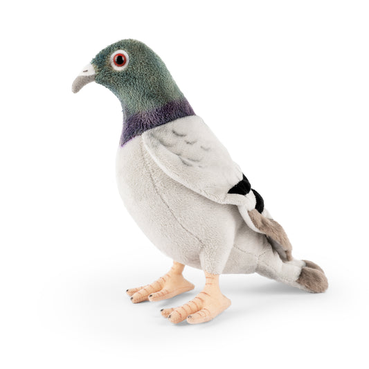 AN664 Pigeon 25cm