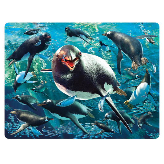 3D LiveLife Postcards - Gentoo Penguin