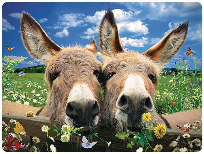 3D LiveLife Postcards - Donkeys