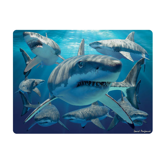 3D LiveLife Postcards - Great White Sharks