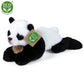 Plush panda 18 cm DISPLAY