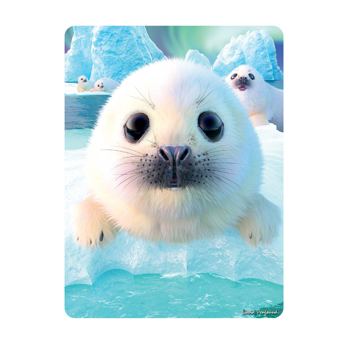 3D LiveLife Postcards - Seal Pups