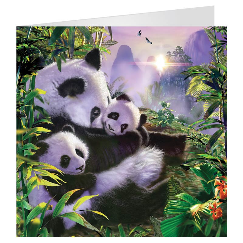 3D LiveLife Greetings Cards - Panda's Retreat