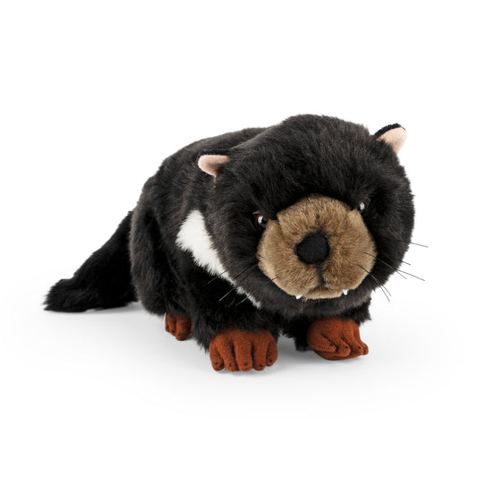 AN691 Tasmanian Devil 36cm