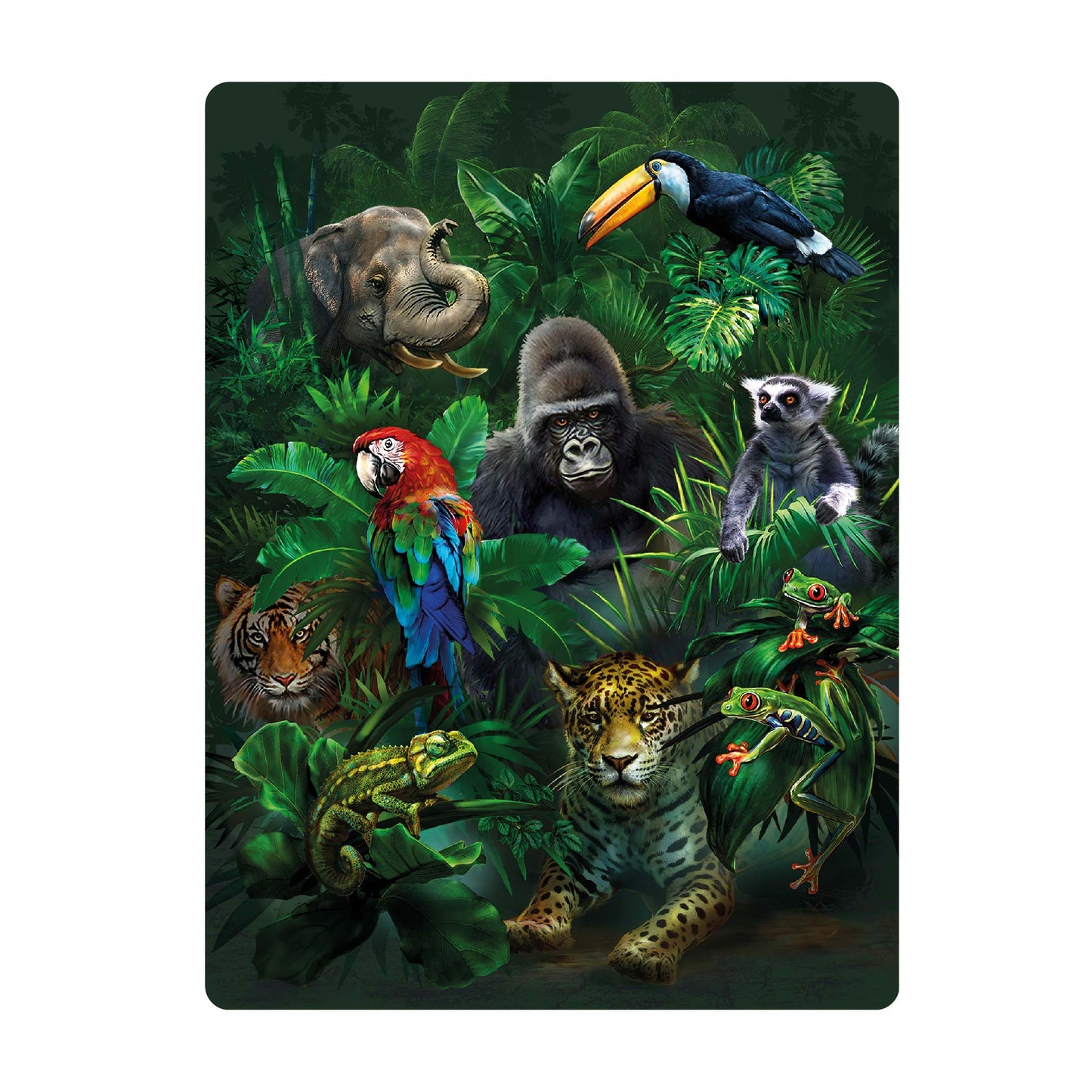 3D LiveLife Postcards - Jungle Pals