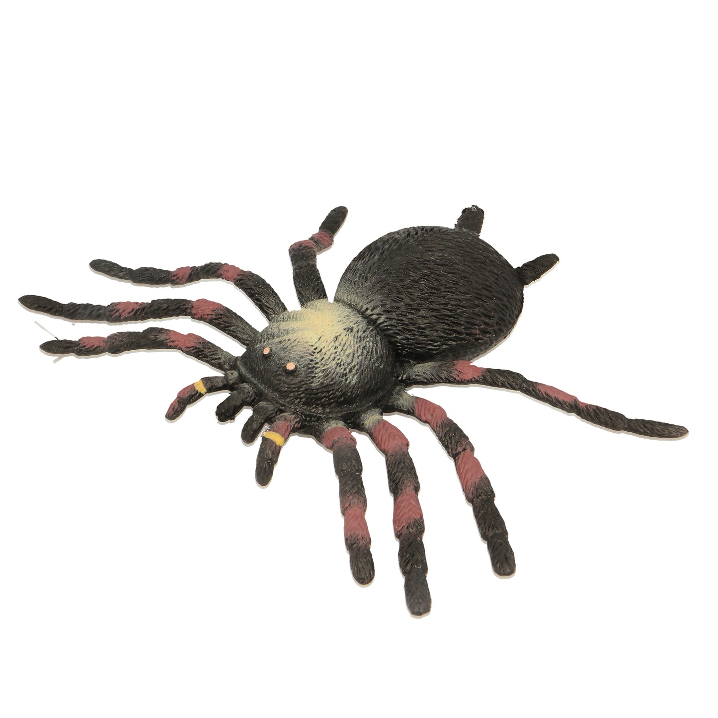 CR104 Stretchy Tarantula