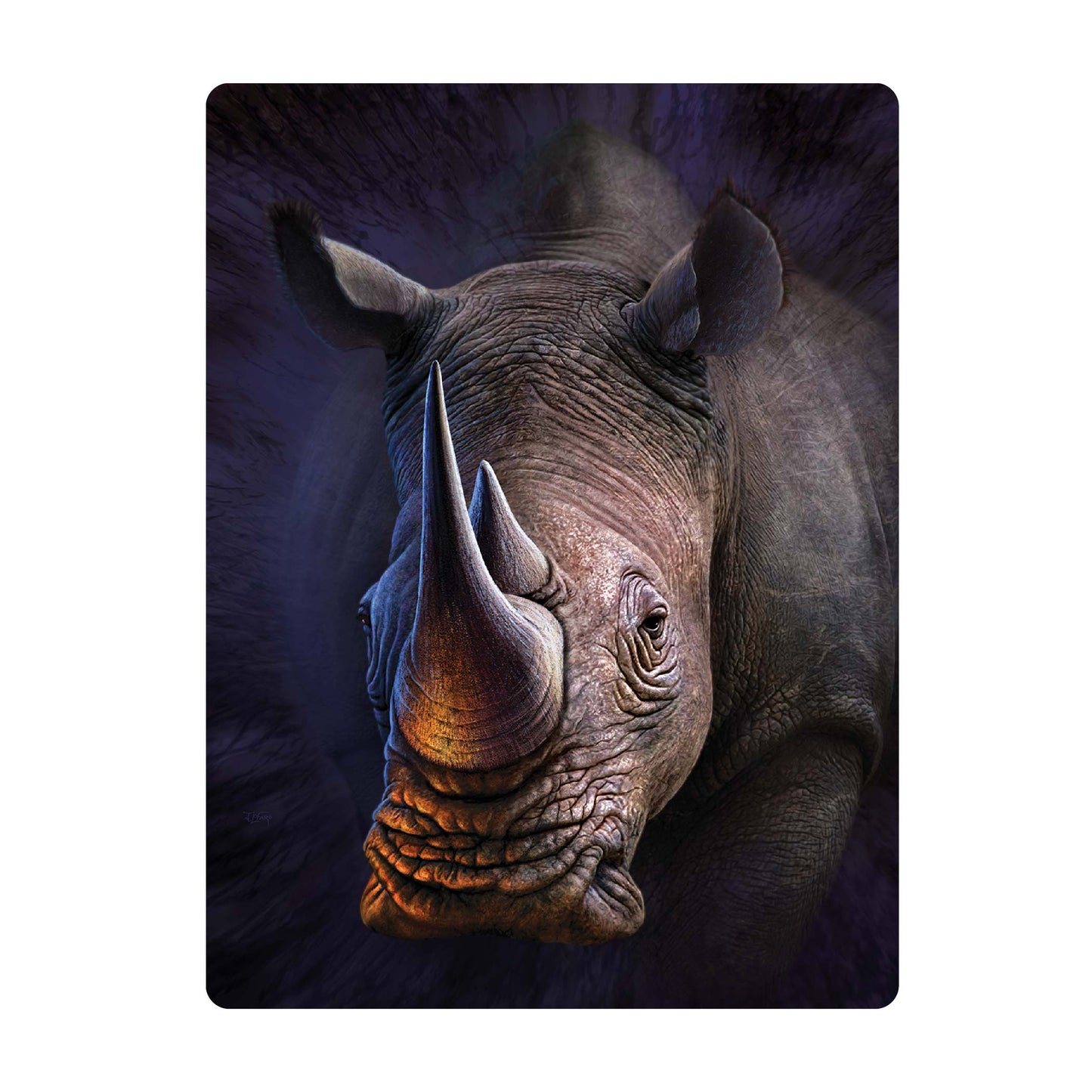 3D LiveLife Postcards - White Rhino