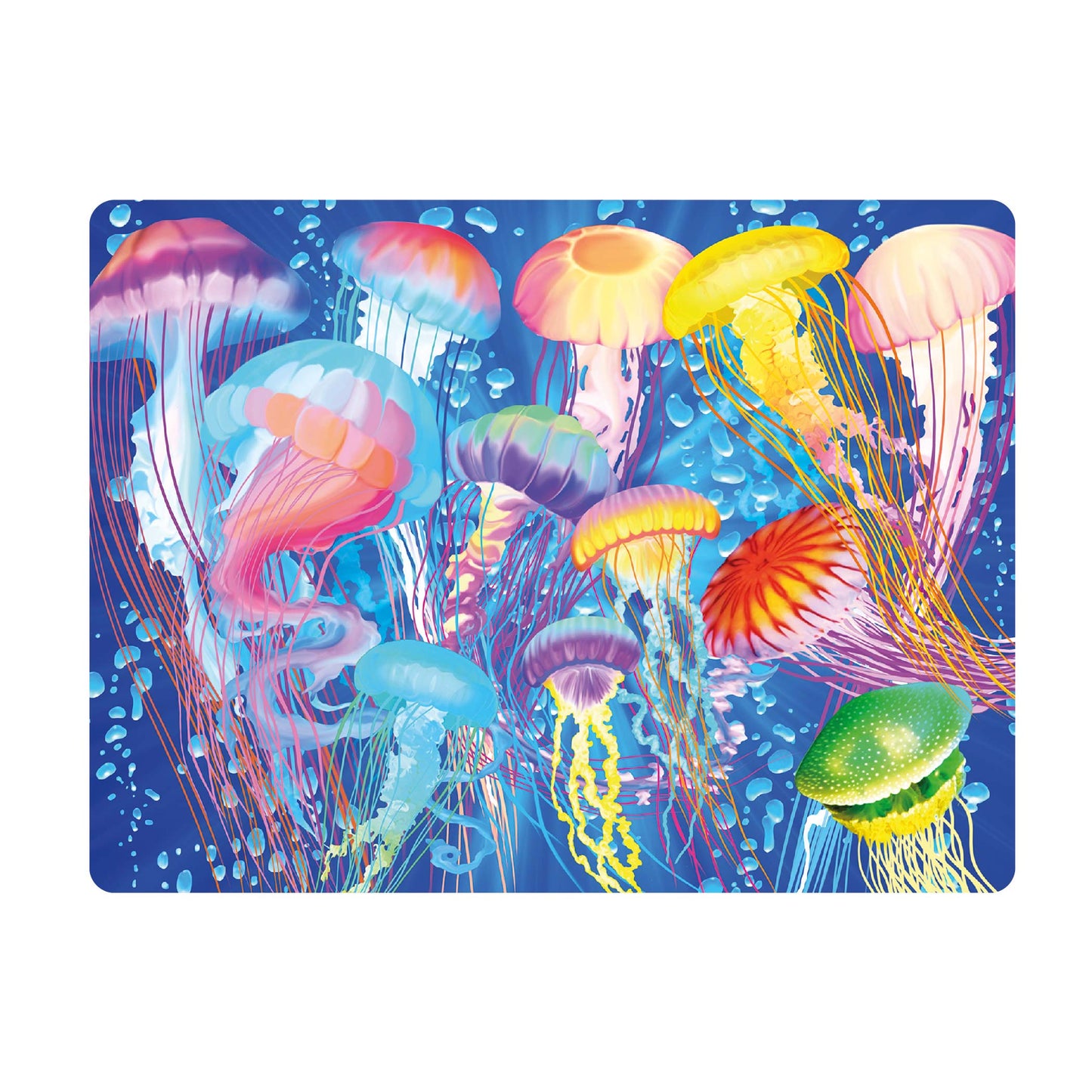 3D LiveLife Postcards - Jelly Jiggle