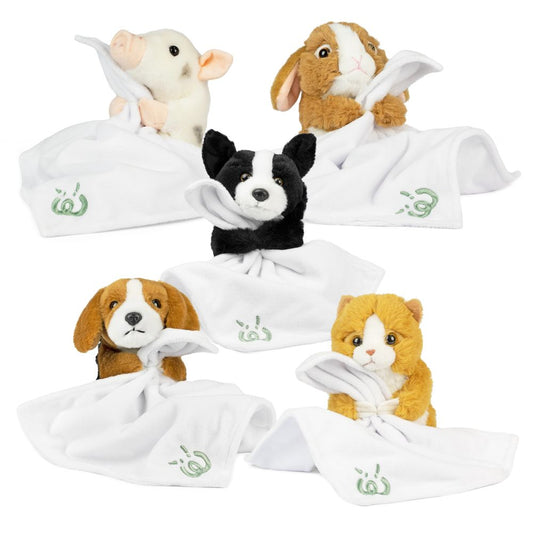 AN12PB Baby Pets With Blanket