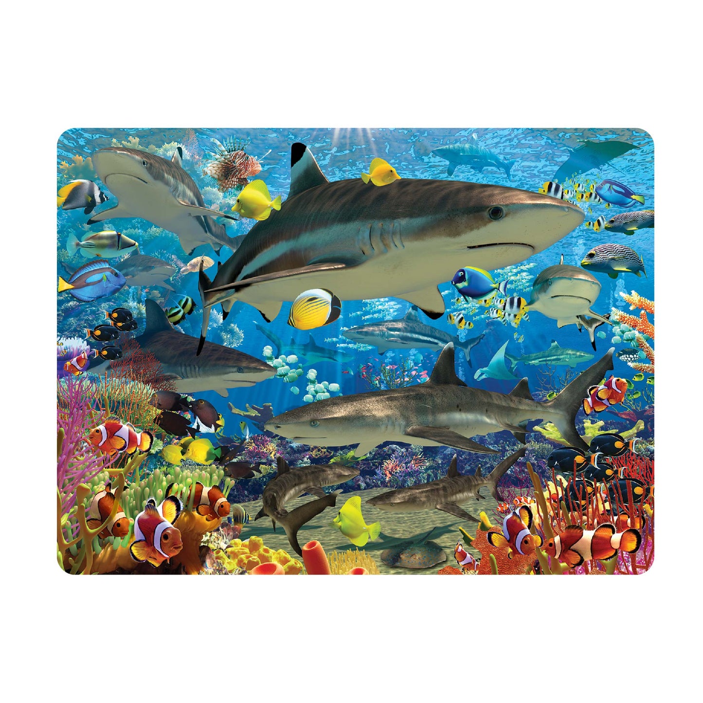 3D LiveLife Postcards - Shark Reef