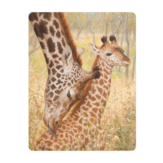 3D LiveLife Postcards - Tender Love