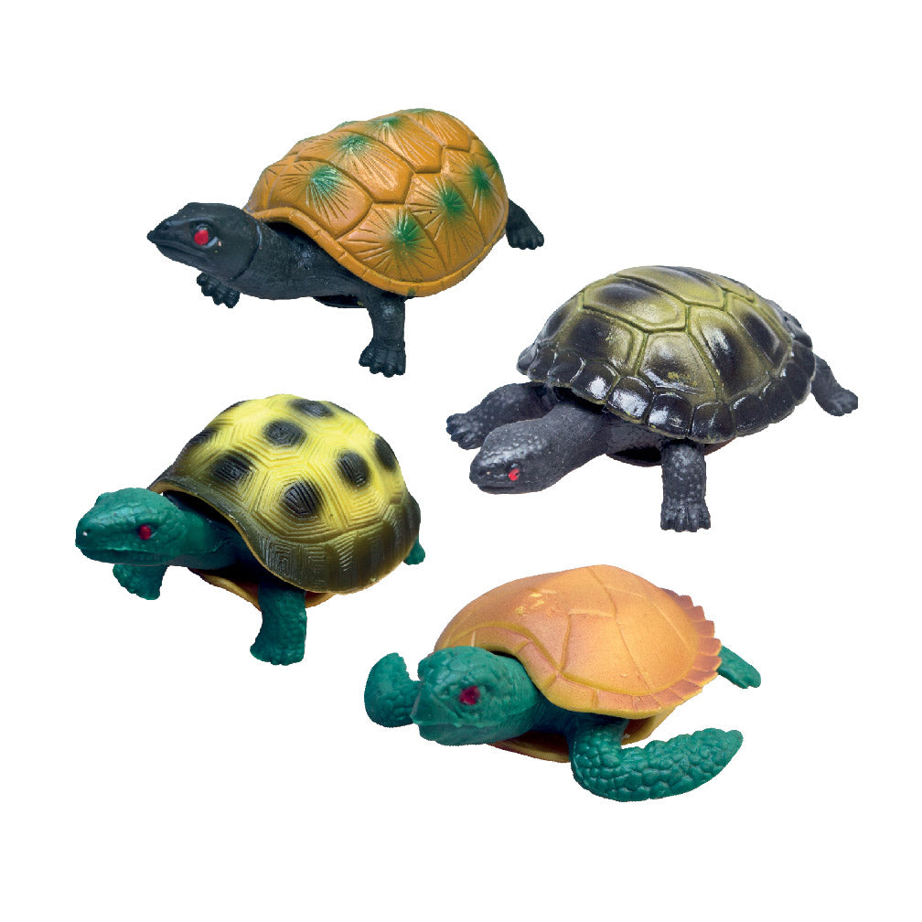 Rep Pals - Turtle, Tortoise & Terrapin