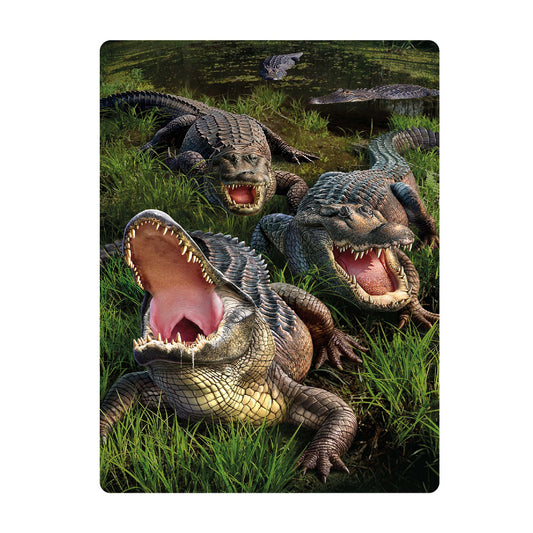 3D LiveLife Postcards - Gator Bog