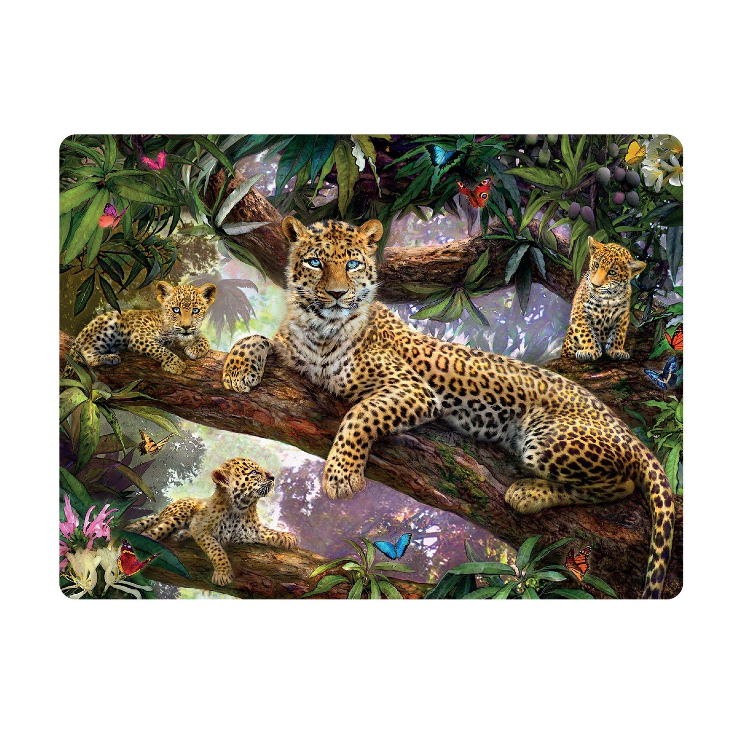 3D LiveLife Postcards - Treetop Leopards