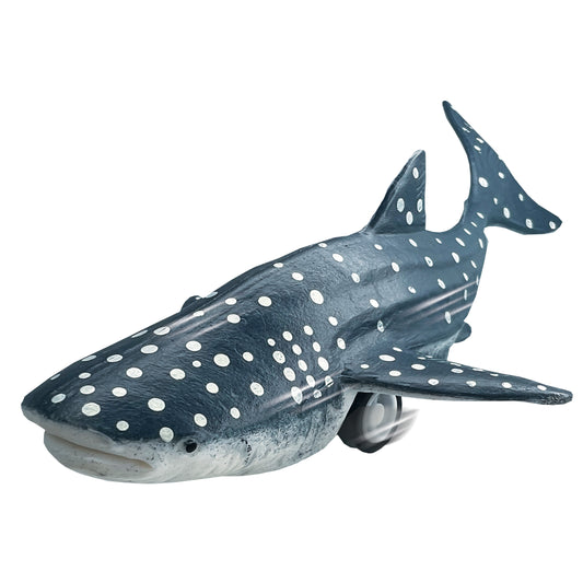 Rep Racers - Whale Shark