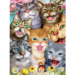 3D LiveLife Pictures - Crazy Cats