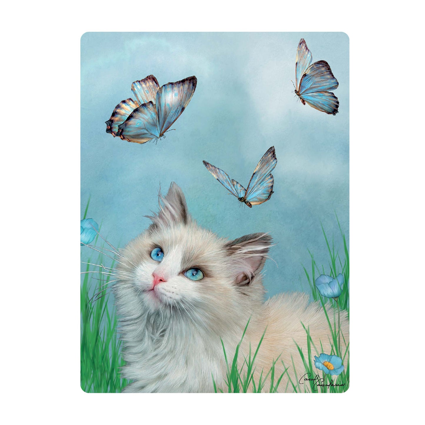 3D LiveLife Postcards - Ragdoll & Butterflies