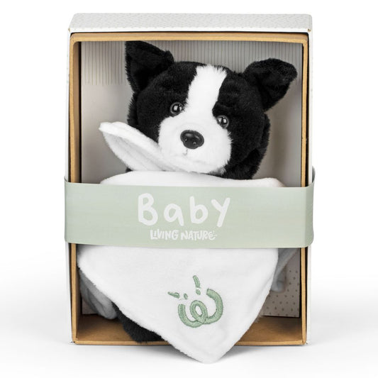 AN767 Baby Border Collie with Blanket 17cm