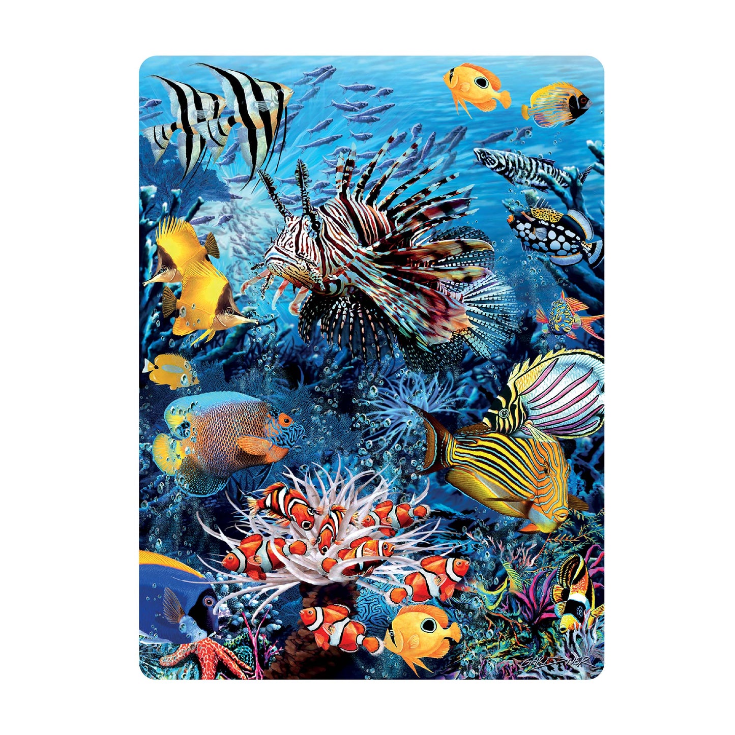 3D LiveLife Postcards - Wonders of the Reef