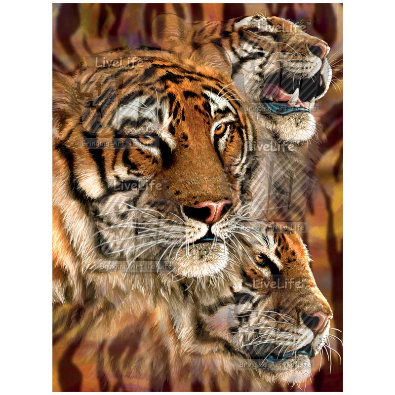 3D LiveLife Pictures - Tiger Stripes