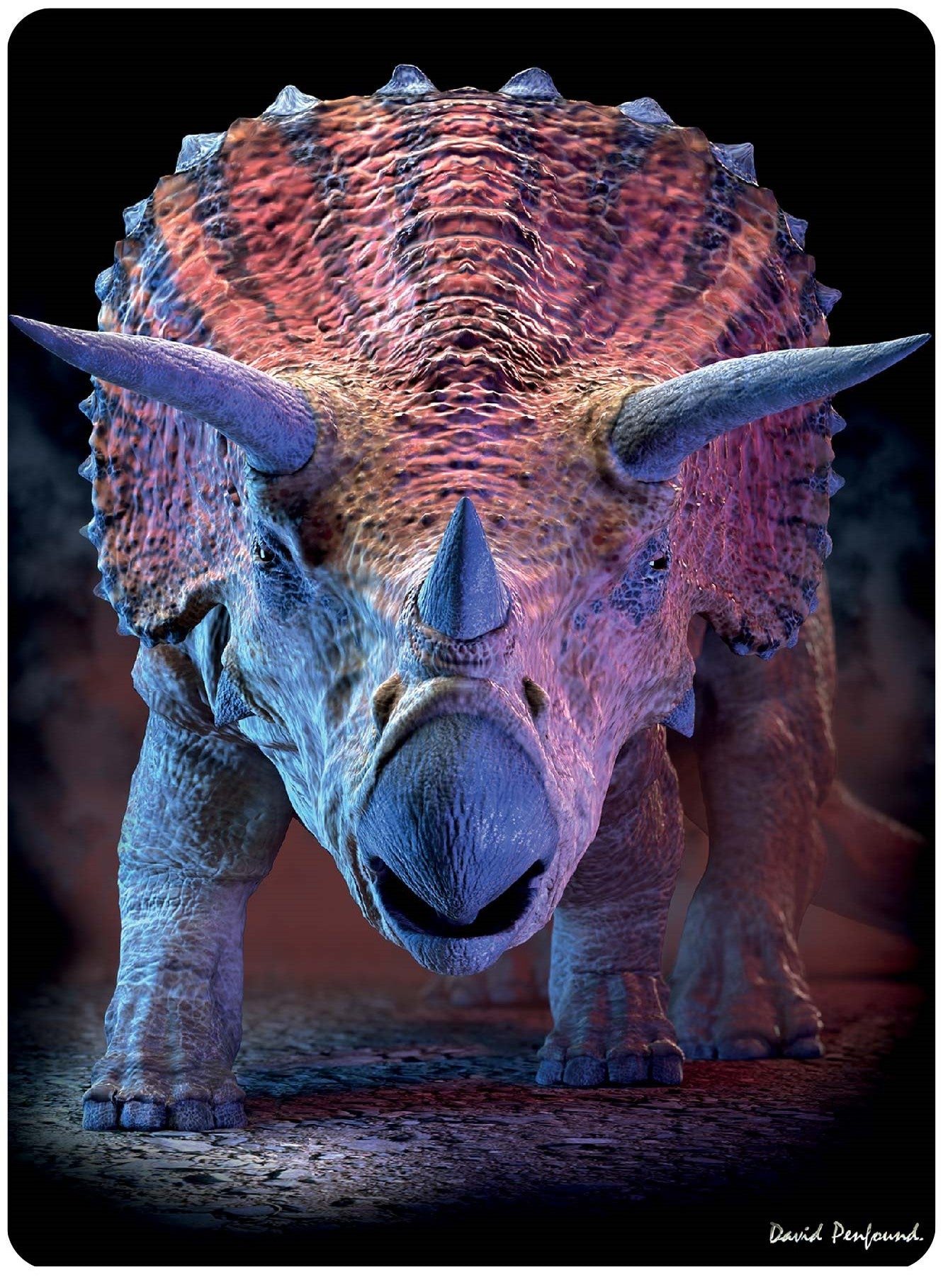 3D LiveLife Postcards - Triceratops