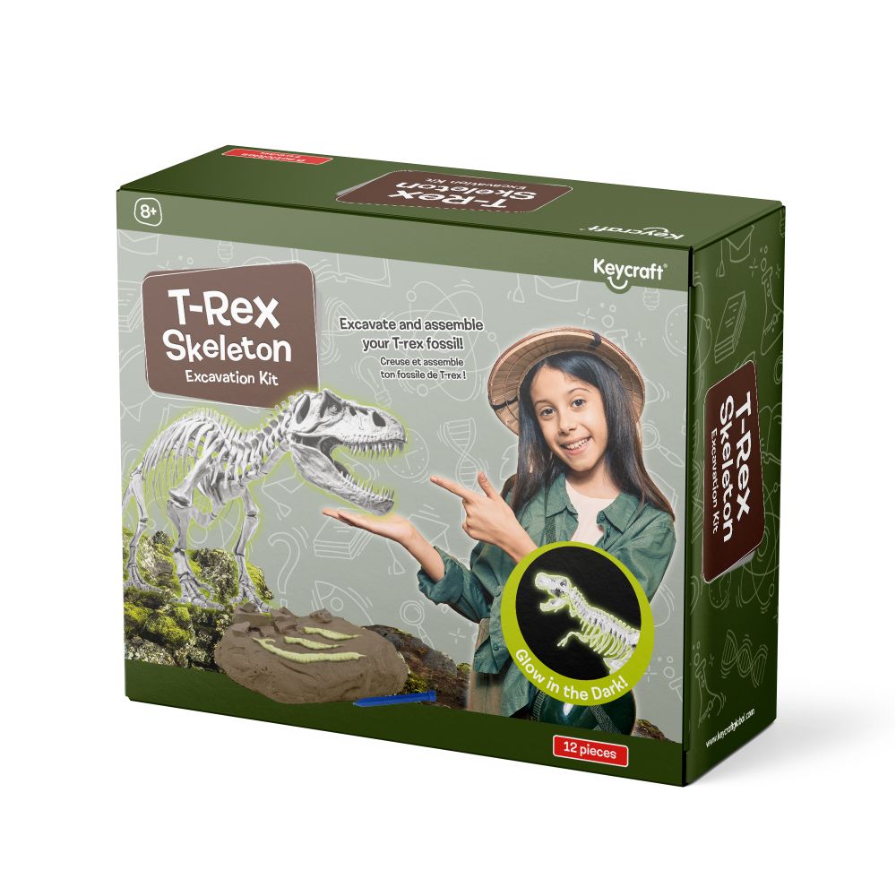 SC329 Glow in the Dark T-Rex Skeleton Excavation Kit