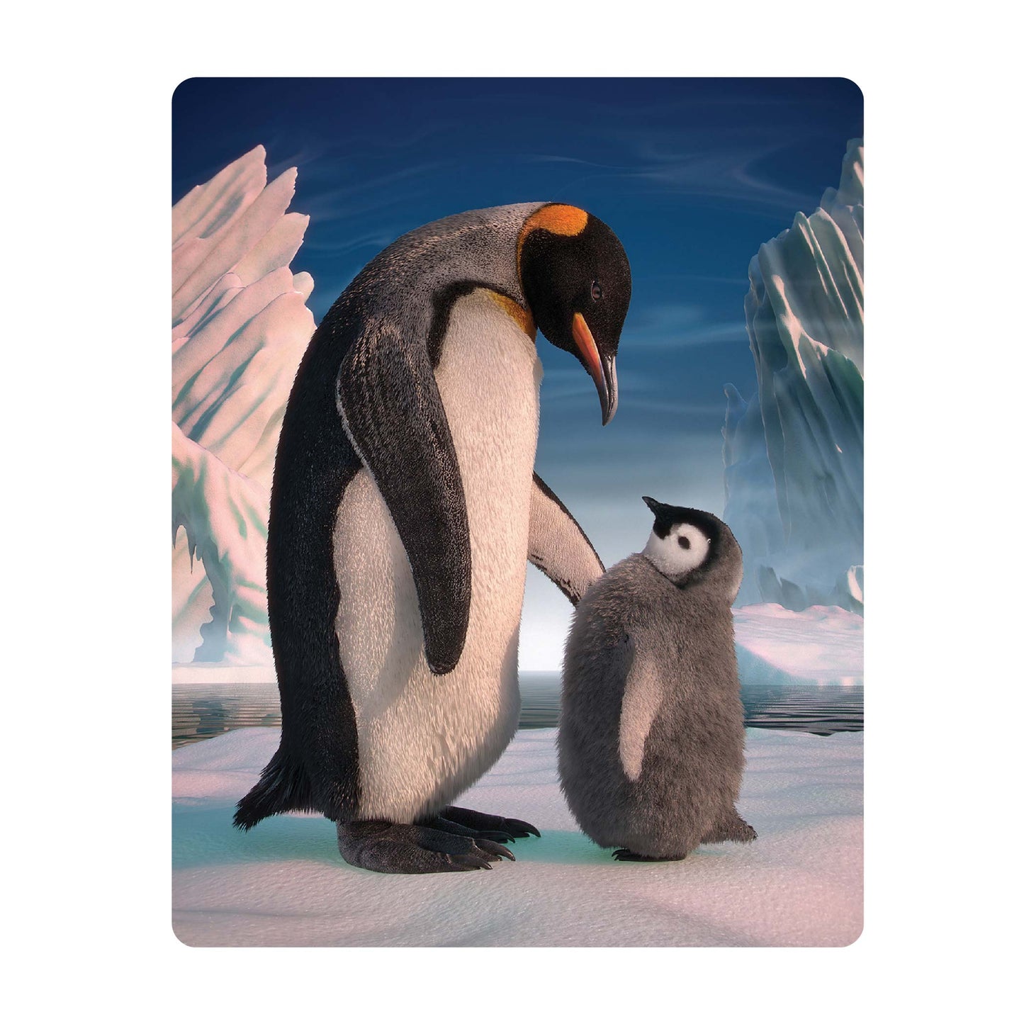 3D LiveLife Postcards - Penguin Son