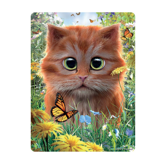 3D LiveLife Postcards - Ginger Kitten