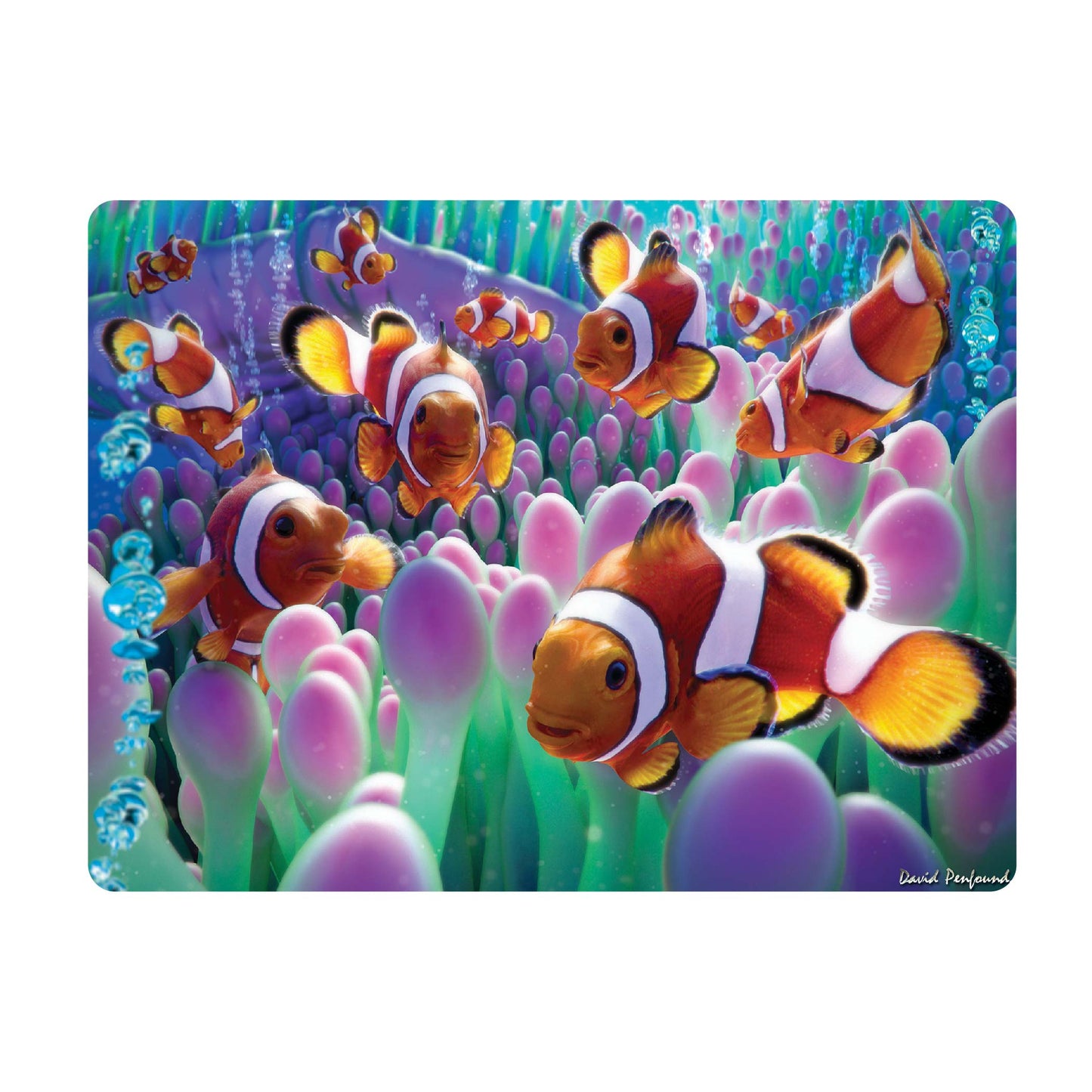 3D LiveLife Postcards - Clown Fish