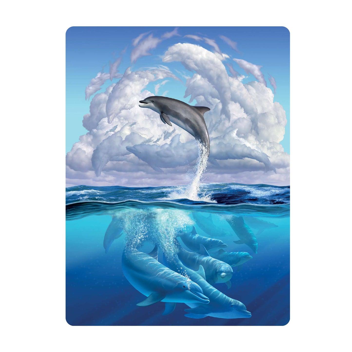 3D LiveLife Postcards - Dolphin Symphony