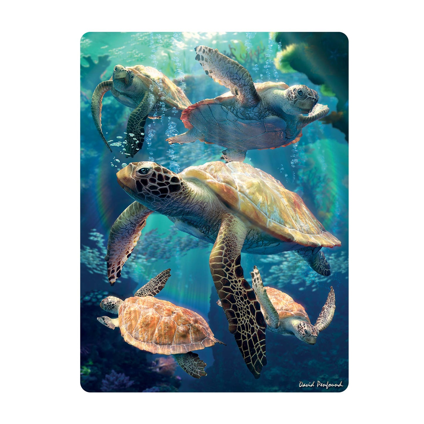 3D LiveLife Postcards - Sea Turtle Swim