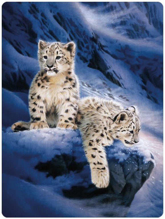3D LiveLife Postcards - Snow Leopard Cubs