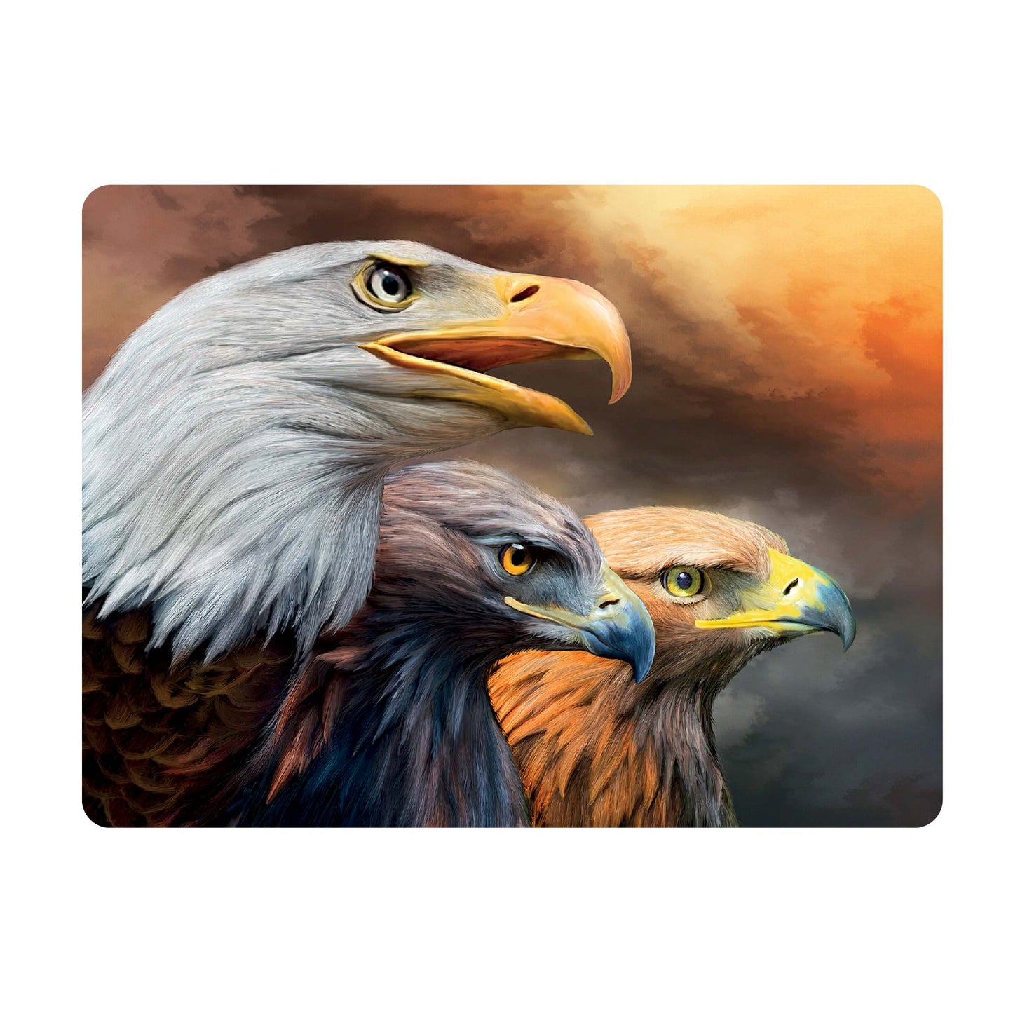 3D LiveLife Postcards - Three Eagles