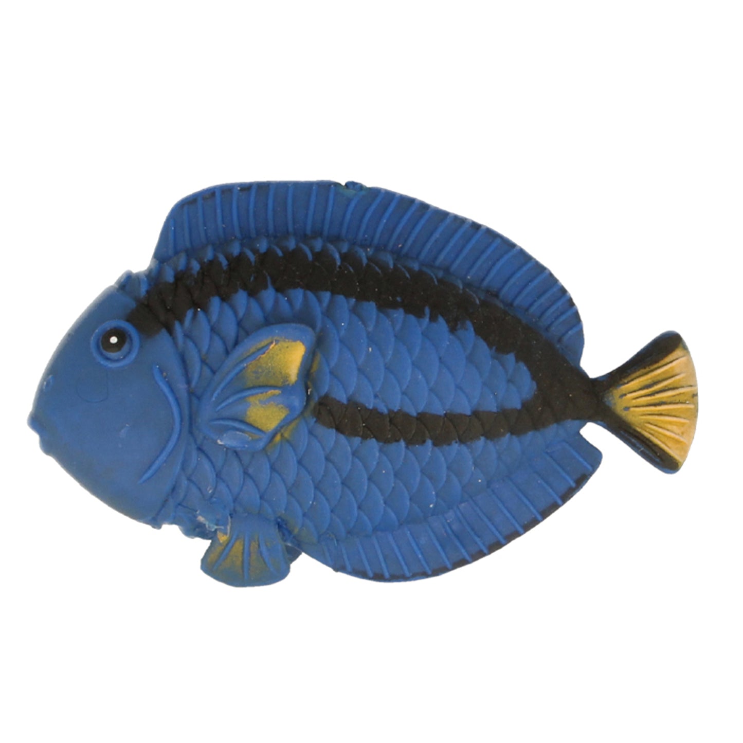 CR171 Stretchy Blue Tang