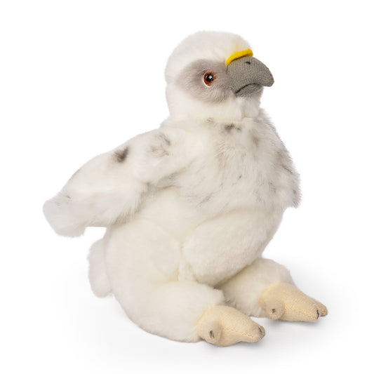 AN714 Eagle Chick 15cm