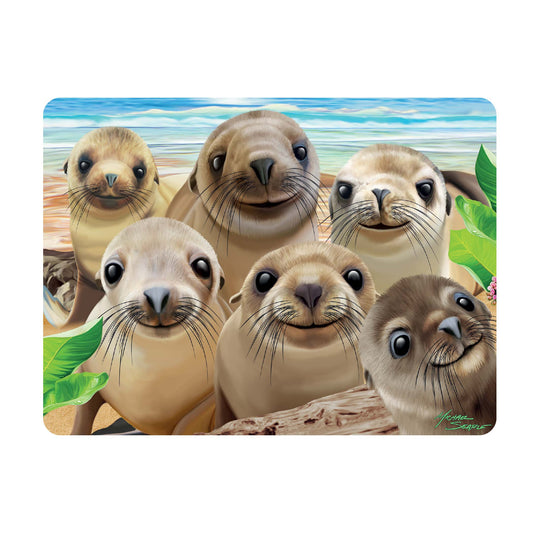 3D LiveLife Postcards - Sea Lion Snap