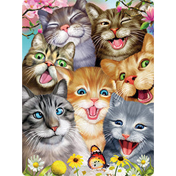 3D LiveLife Postcards - Crazy Cats