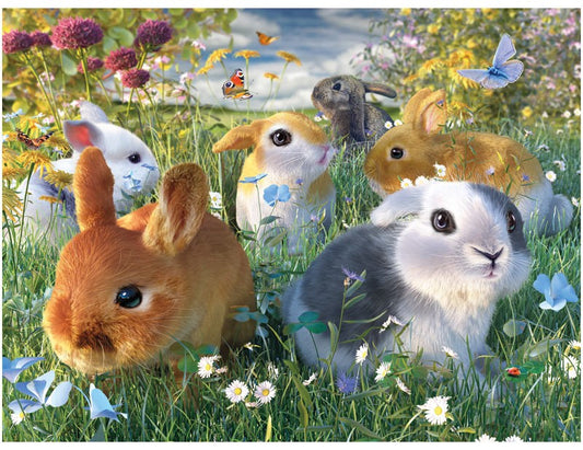 3D LiveLife Postcards - Bunnies