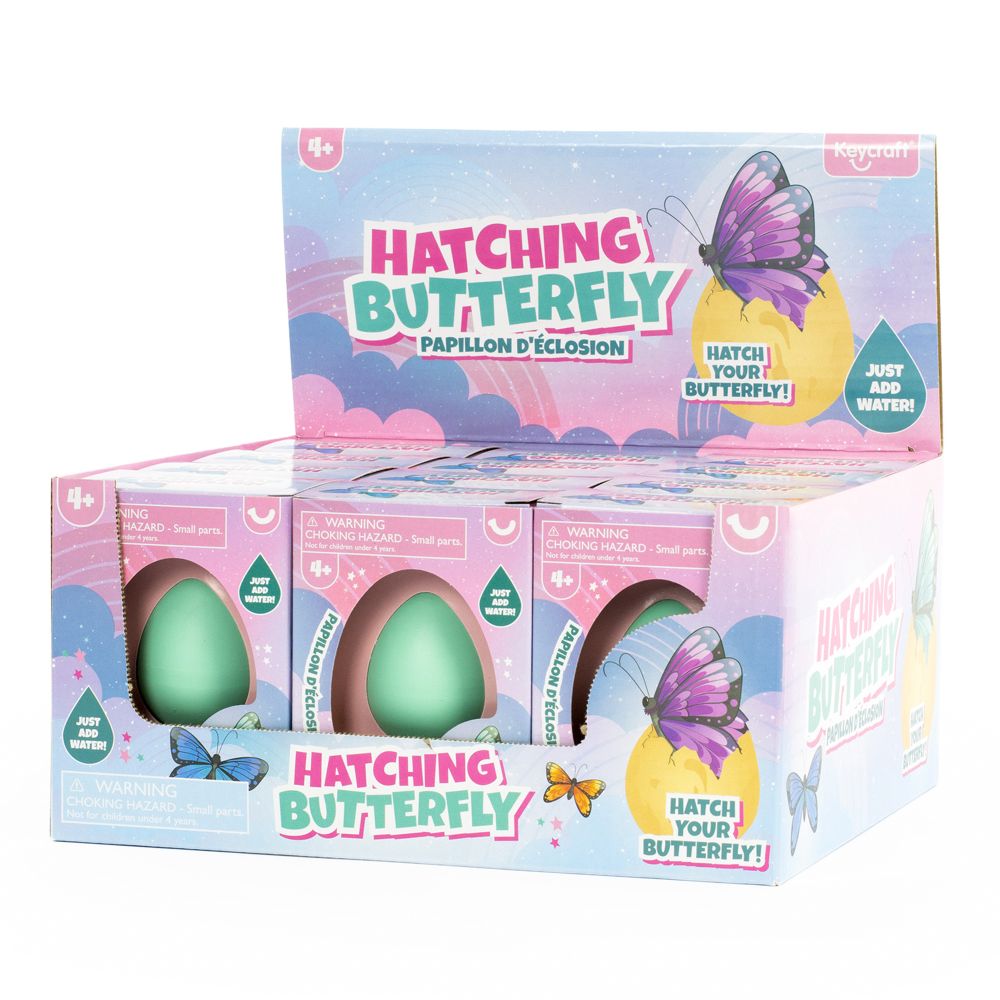 NV645 Hatching Butterfly Eggs