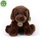 Plush Labrador 26 cm