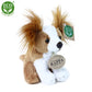 Plush dogs assort 14 cm