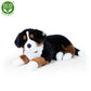 Plush Bernese dog 89 cm