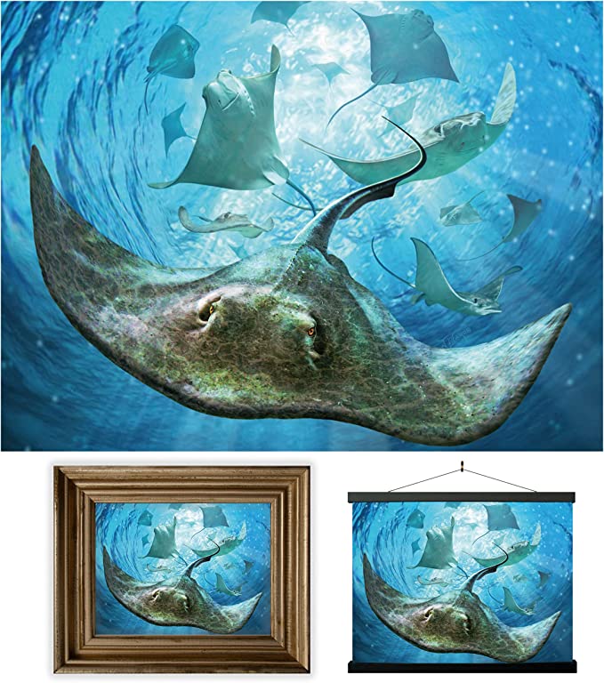 3D LiveLife Pictures - Sting Rays
