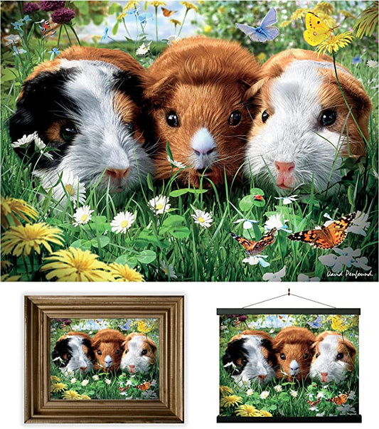 3D LiveLife Pictures - Guinea Pigs