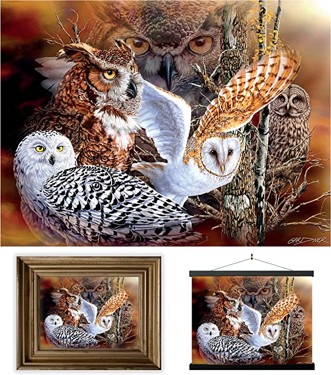 3D LiveLife Pictures - Owl Woods