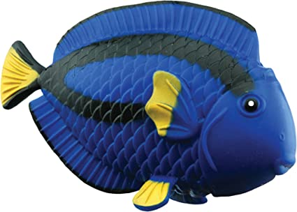 Rep Pals - Blue Tang