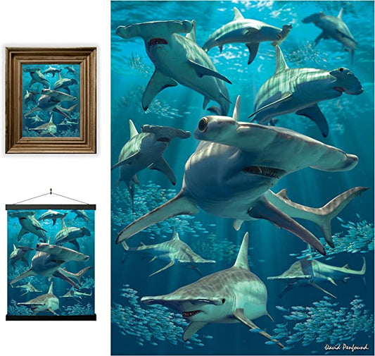 3D LiveLife Pictures - Hammerhead Shark